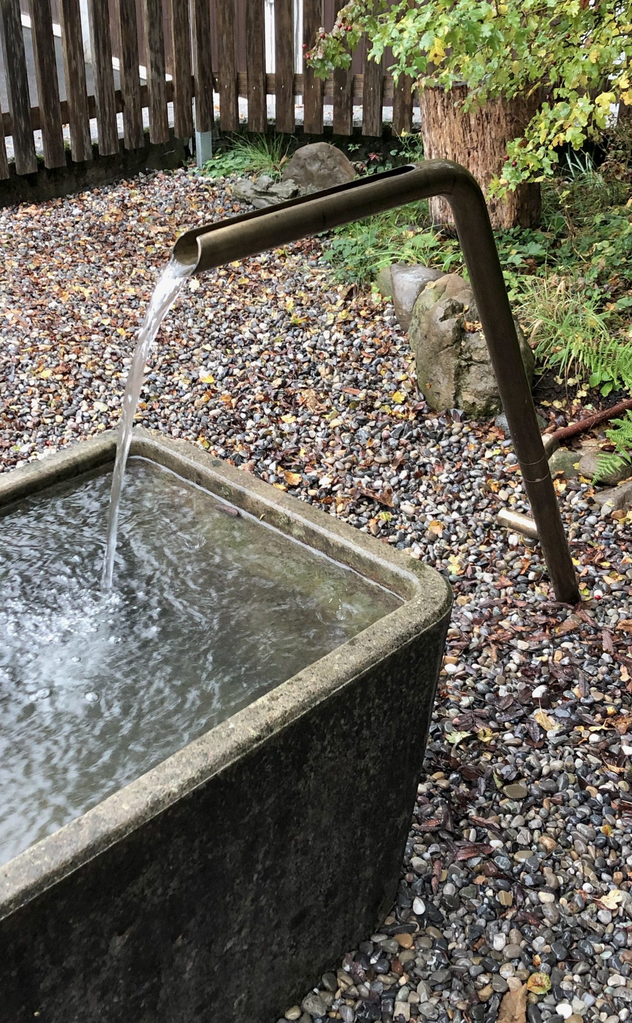 Zen